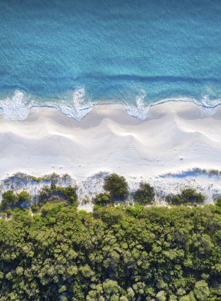 Hyams Beach in Jervis Bay - South 澳洲五幸运168澳洲官方体彩结果 Coast. Credit: Jordan Robins